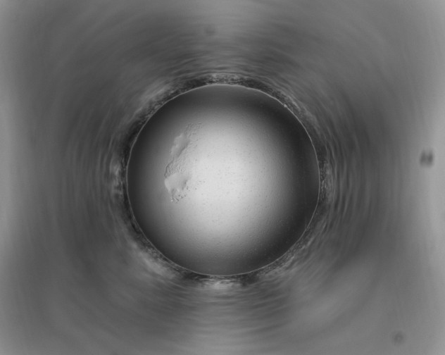 X0000096190619200802011408