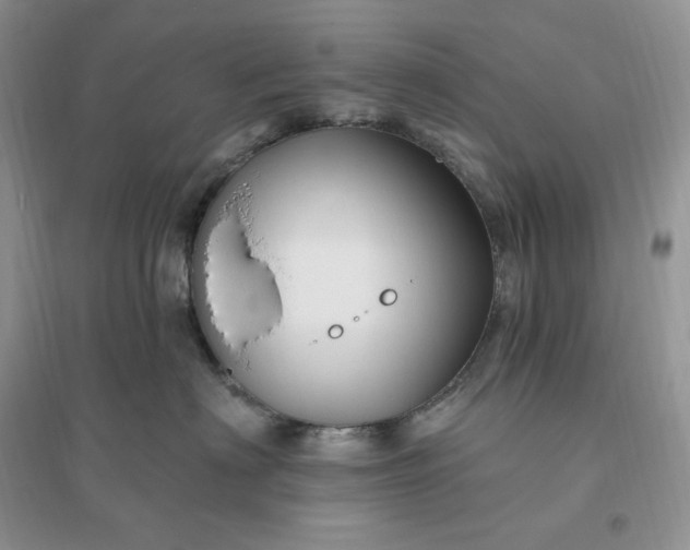 X0000096190622200802011408