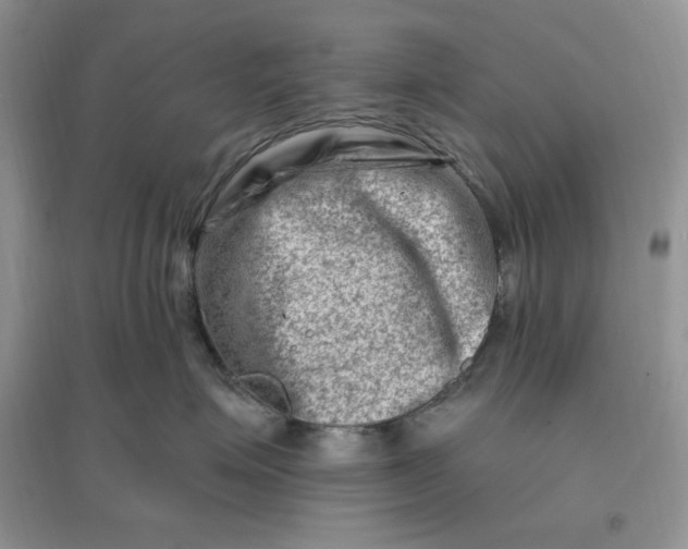 X0000096190623200802011408