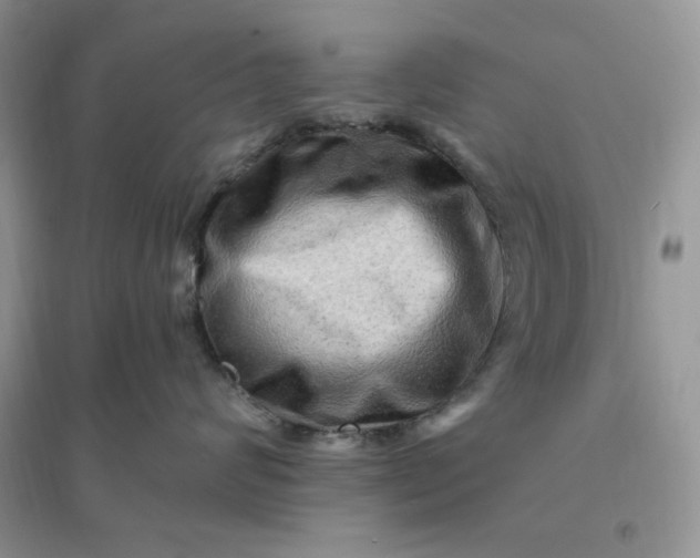 X0000096190624200802011408