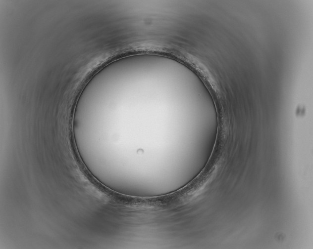 X0000096190625200802011407