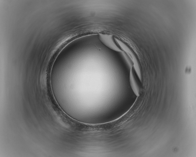 X0000096190626200802011407