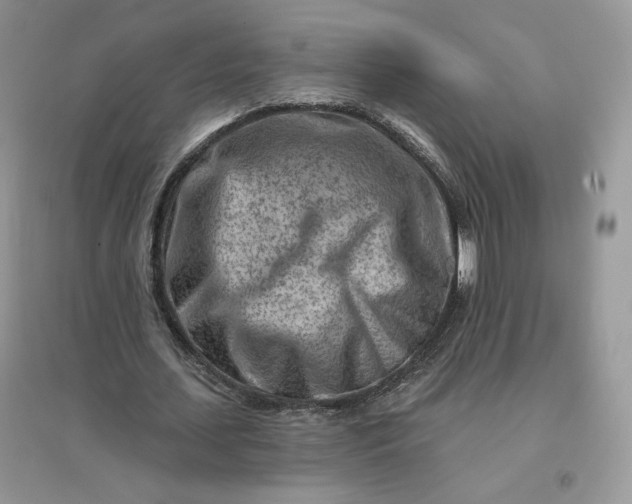 X0000096190627200802011407