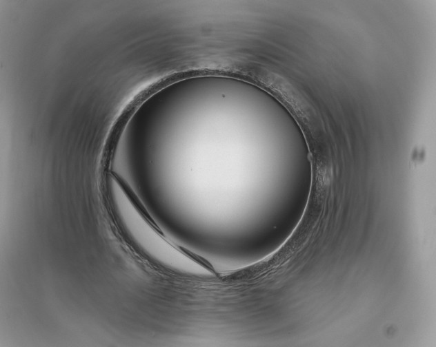 X0000096190628200802011407