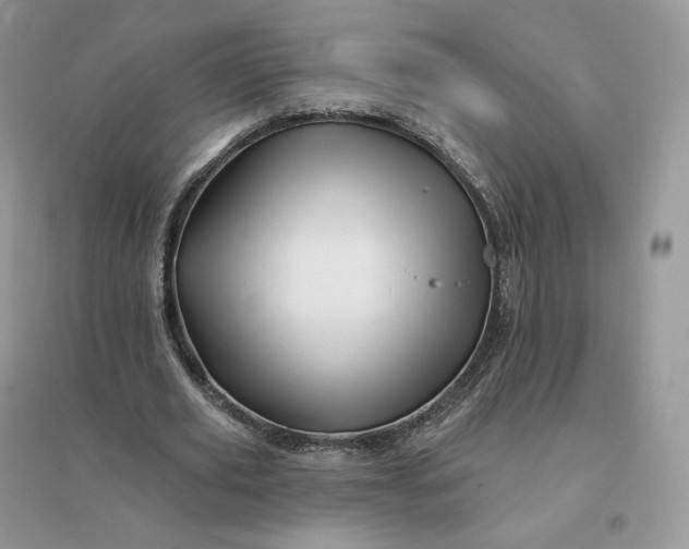 X0000096190629200802011407