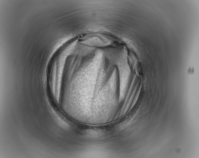 X0000096190630200802011407