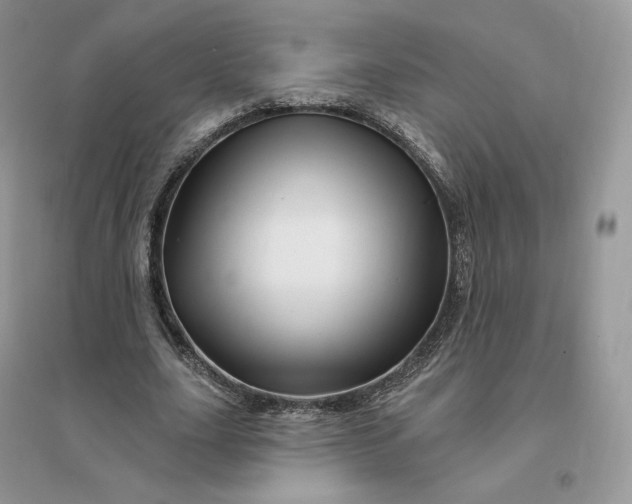 X0000096190631200802011407