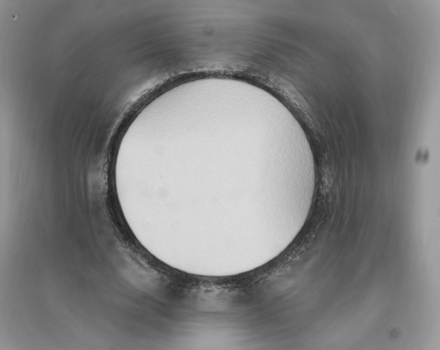 X0000096190632200802011407