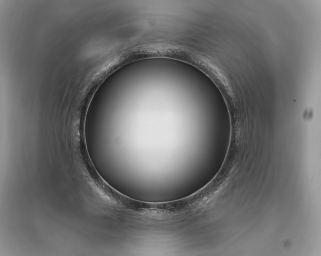 X0000096190633200802011407