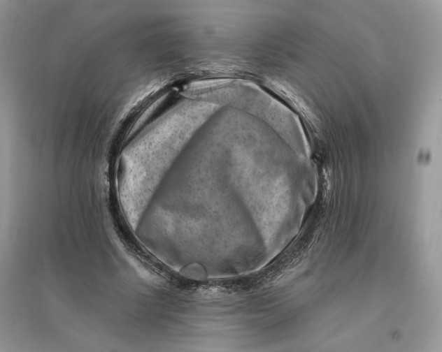 X0000096190634200802011407