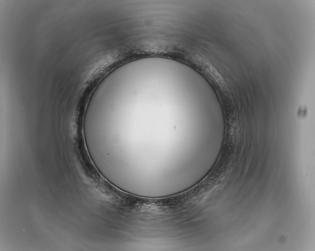 X0000096190635200802011407