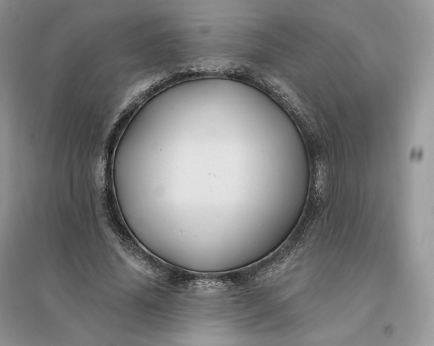 X0000096190636200802011407