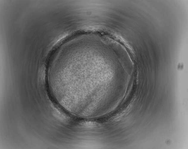 X0000096190637200802011408