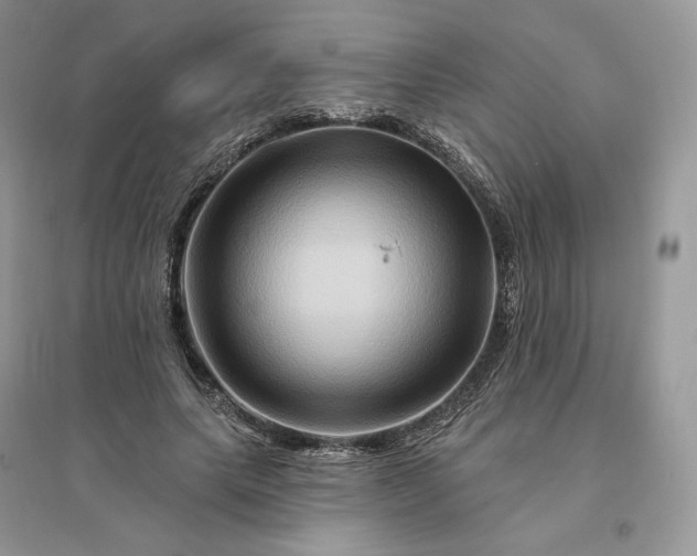 X0000096190639200802011408