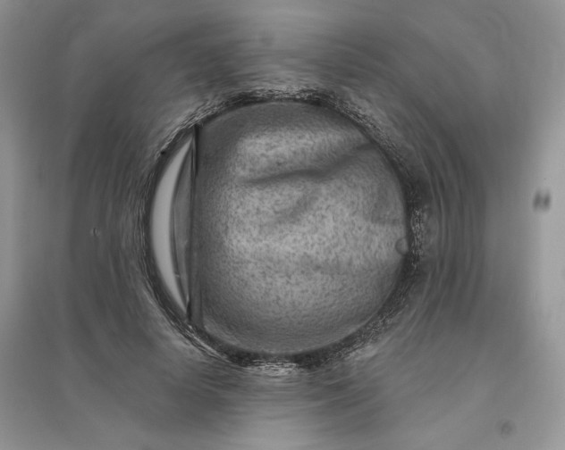 X0000096190642200802011408