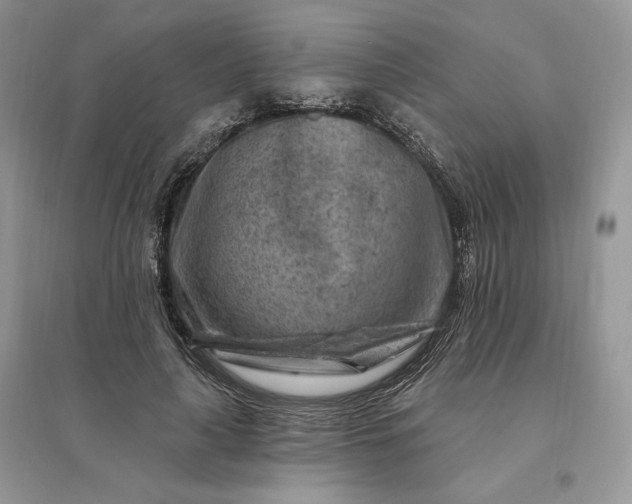 X0000096190643200802011408