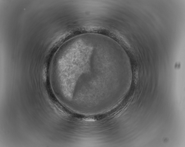 X0000096190644200802011408