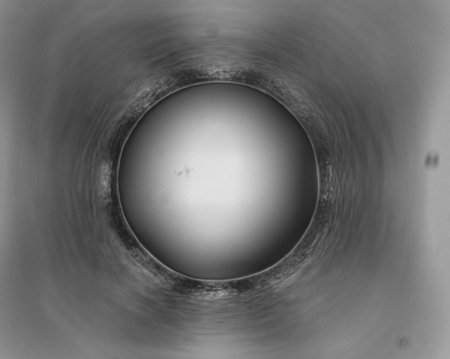 X0000096190646200802011408