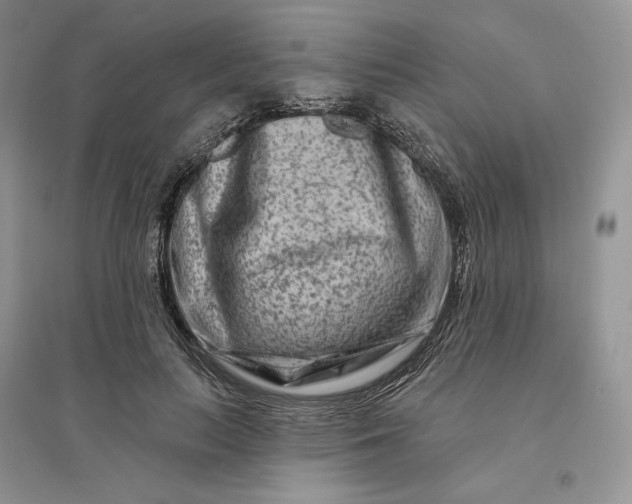 X0000096190647200802011408