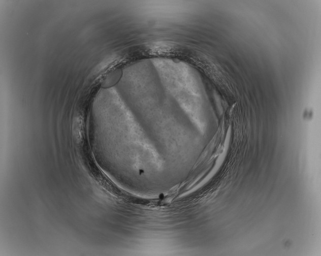 X0000096190648200802011408