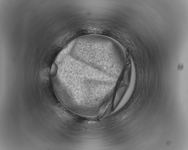 X0000096190649200802011408