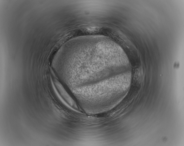 X0000096190651200802011408