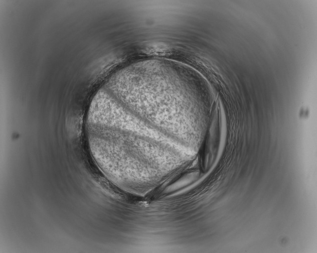 X0000096190652200802011408