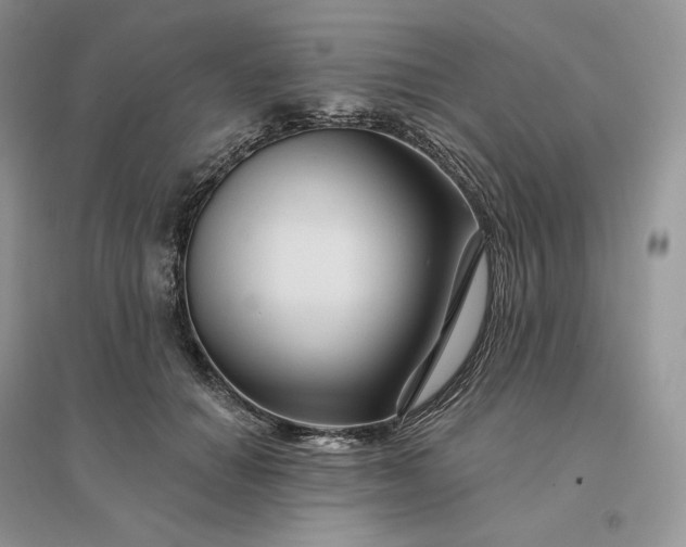 X0000096190654200802011408