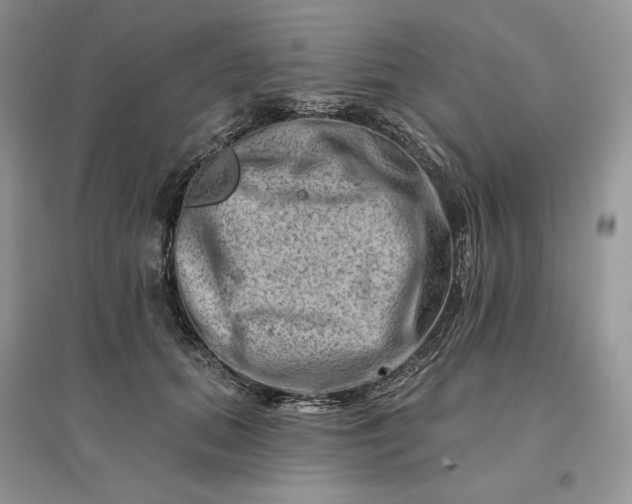 X0000096190655200802011408