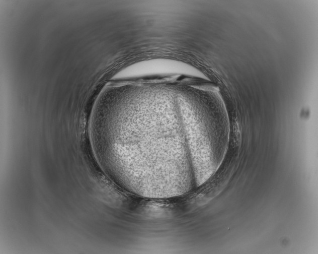 X0000096190657200802011408