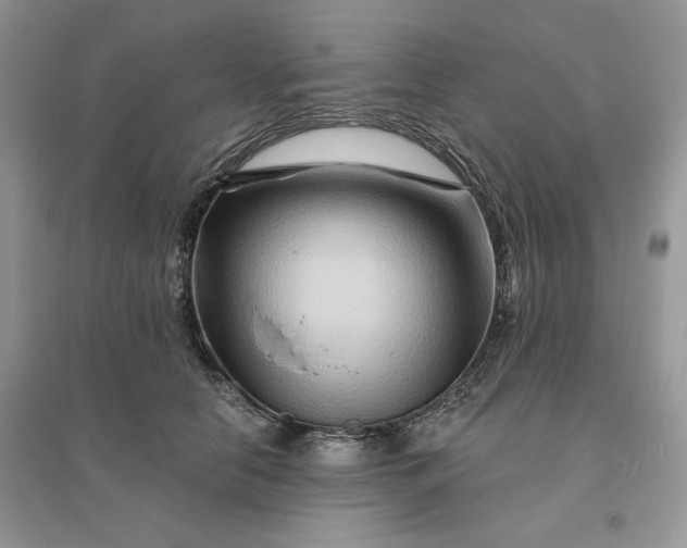 X0000096190658200802011408