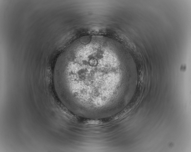 X0000096190659200802011408