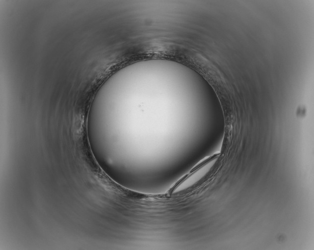 X0000096190660200802011408