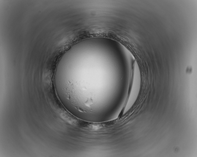 X0000096190662200802011408