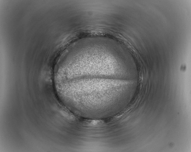 X0000096190663200802011408