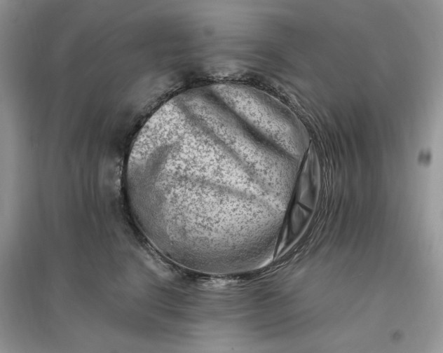 X0000096190664200802011408