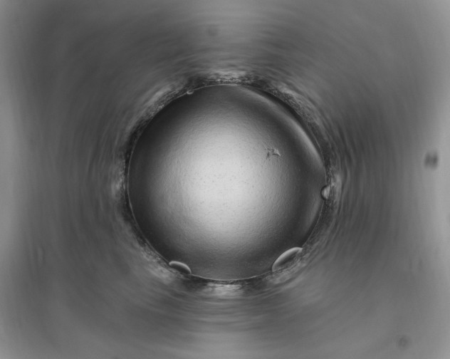 X0000096190665200802011408