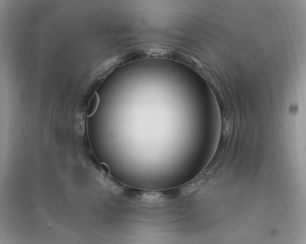 X0000096190666200802011408