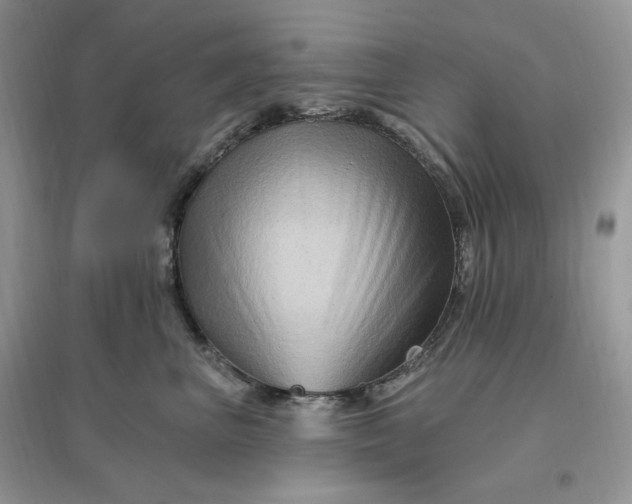 X0000096190667200802011408