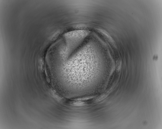 X0000096190669200802011408