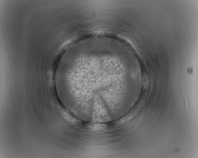 X0000096190670200802011408