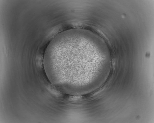 X0000096190671200802011408