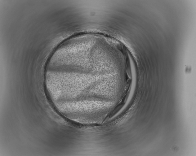 X0000096190673200802011407