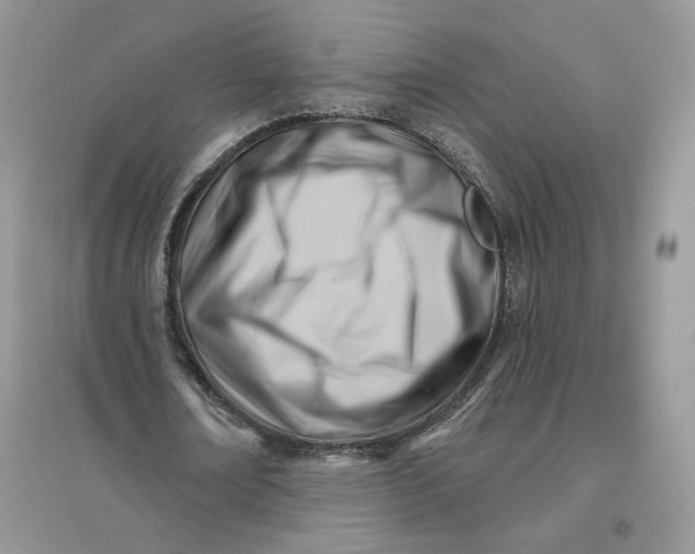 X0000096190674200802011407