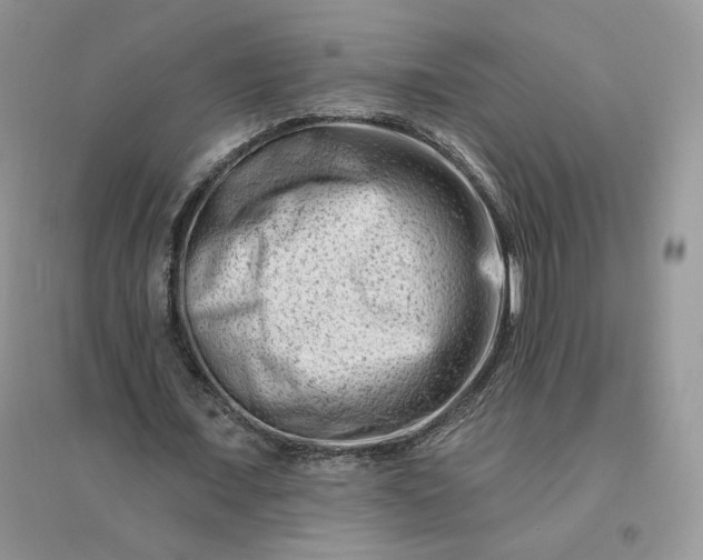 X0000096190675200802011407