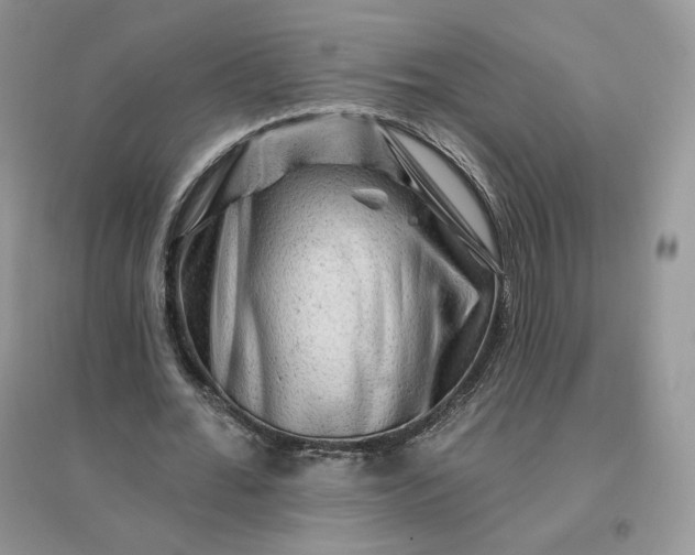 X0000096190676200802011407