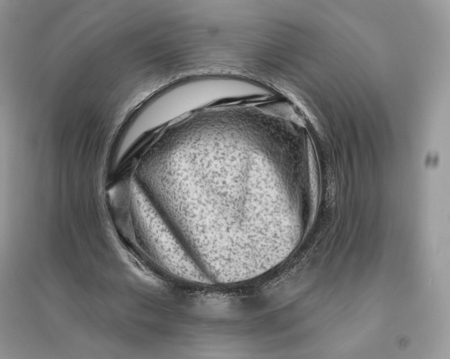 X0000096190677200802011407