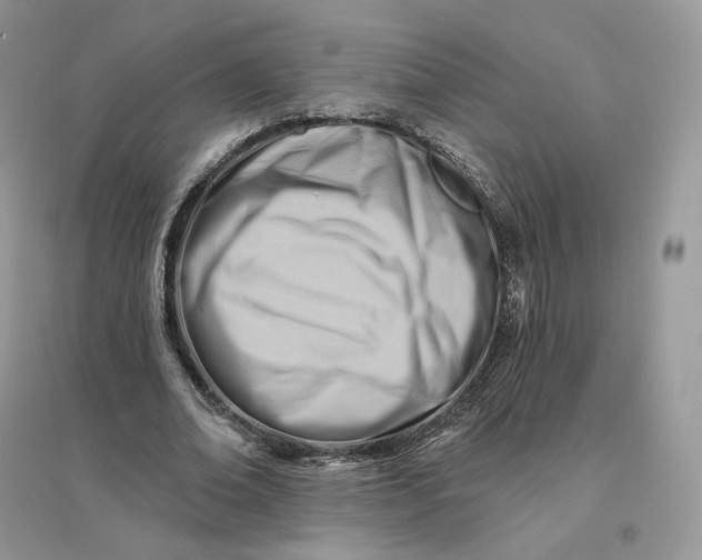 X0000096190678200802011407