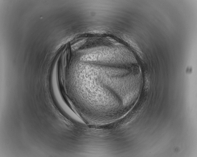 X0000096190681200802011407