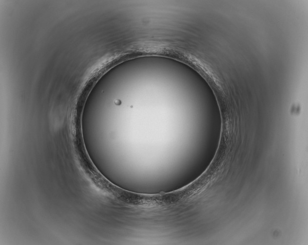 X0000096190682200802011407